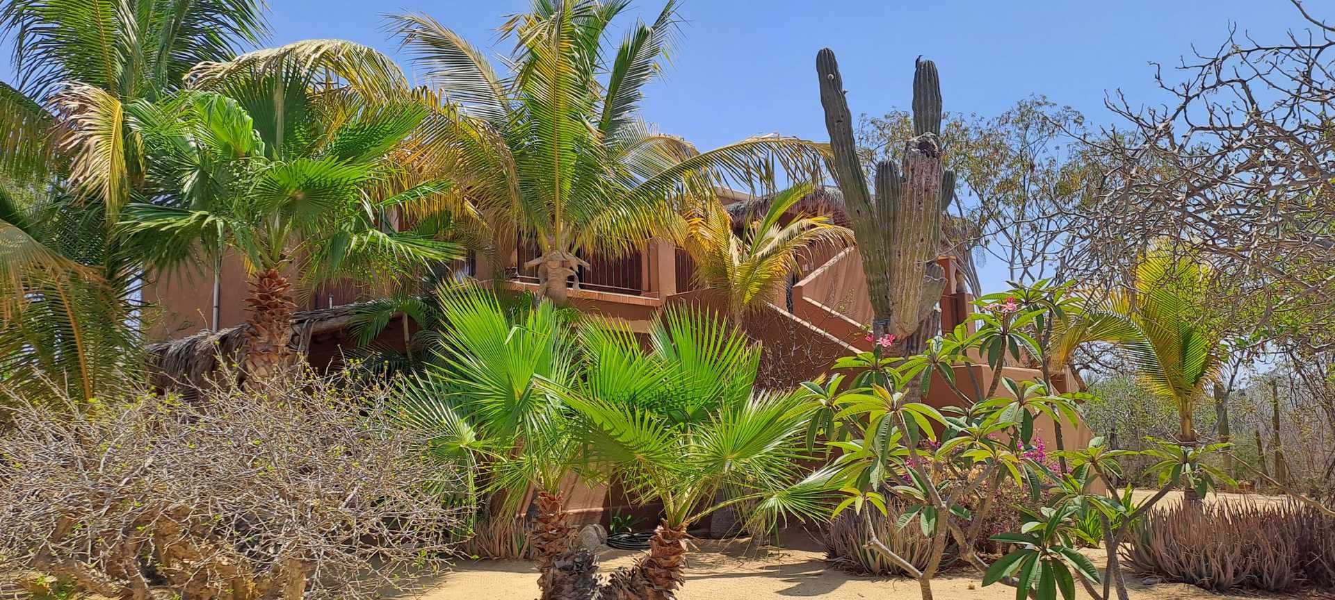 σπίτι σε Σαν Χοσέ ντελ Κάμπο, Baja California Sur 12375086