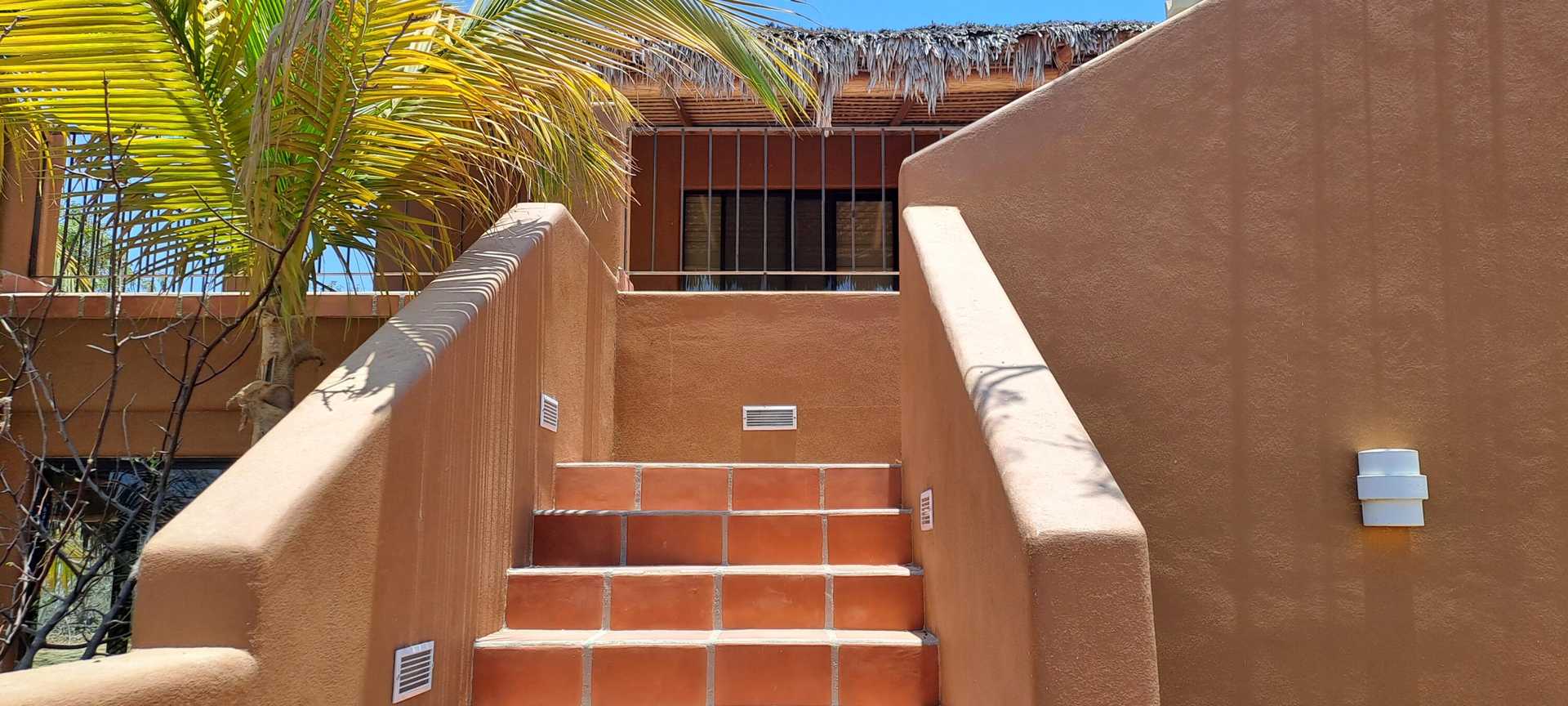 Dom w San José del Cabo, Baja California Sur 12375086