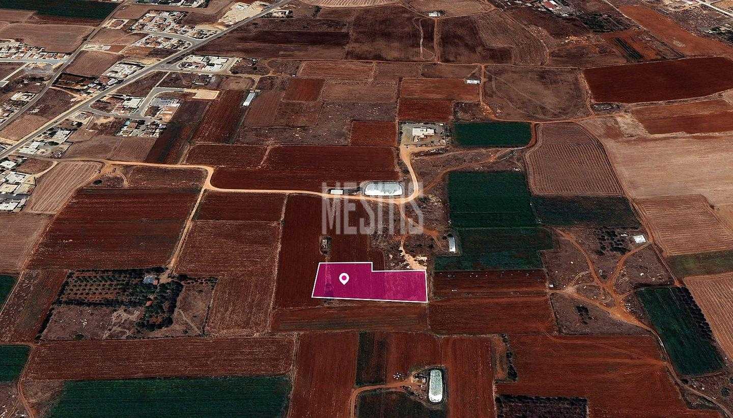 Tanah dalam Liopetri, Famagusta 12379023