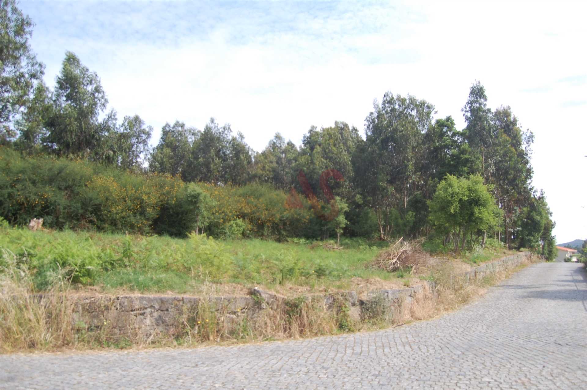 Tanah di Santo Tirso, Porto District 12380090
