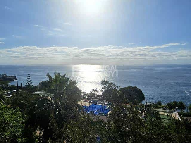 Andere im Funchal, Madeira 12384961