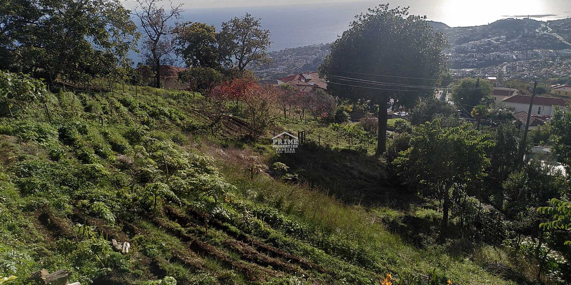 жилой дом в Funchal, Madeira 12386186