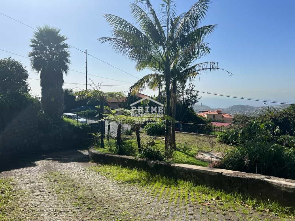 Hus i Funchal, Madeira 12386186