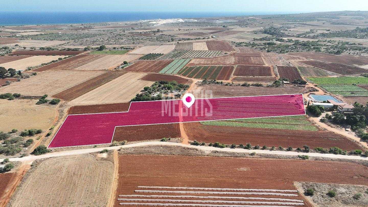 Terre dans Liopetri, Famagusta 12388728