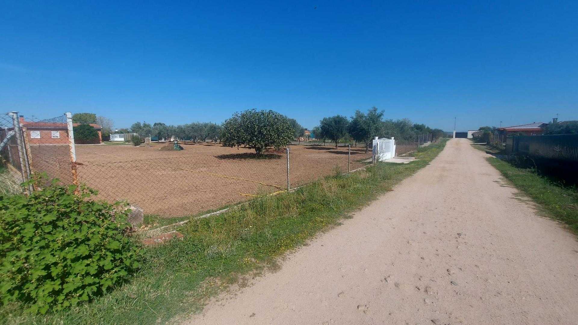 Land in Talavera de la Reina, Castille-La Mancha 12391520
