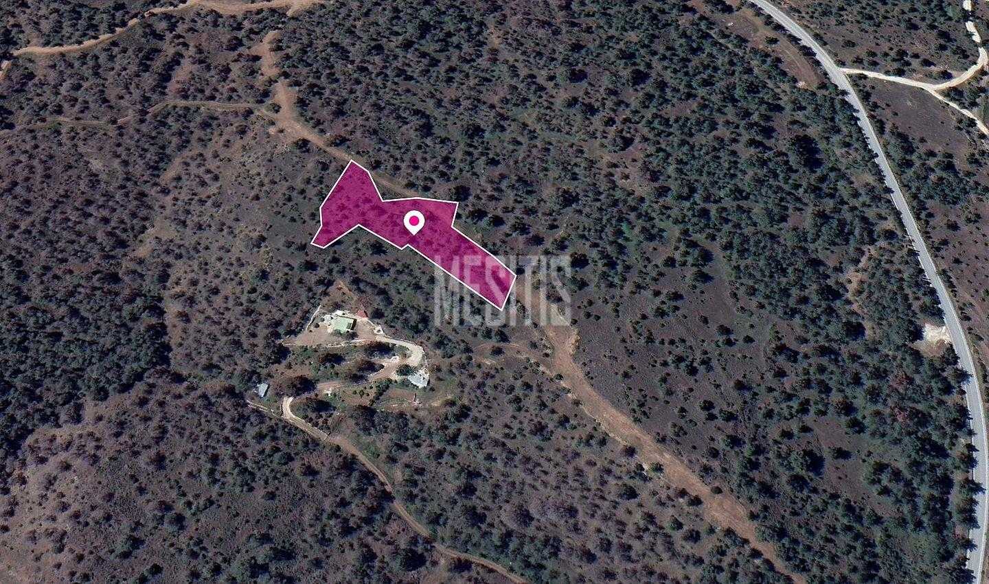 Land im Mitsero, Nicosia 12405074