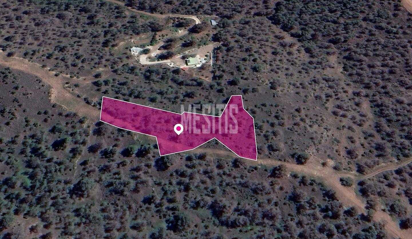Land in Anageia, Lefkosia 12405074