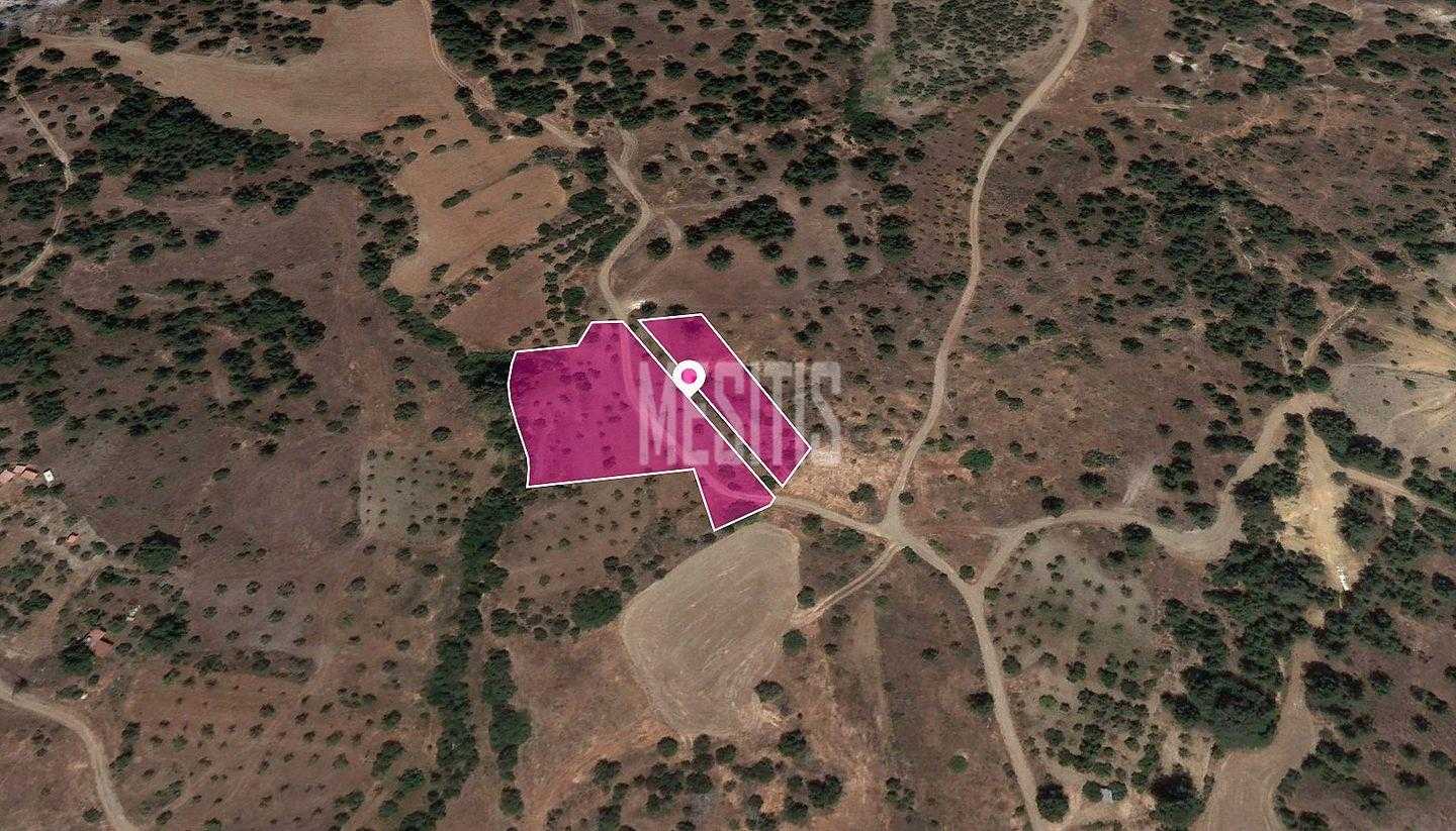 Tanah di Mitsero, Nicosia 12405077