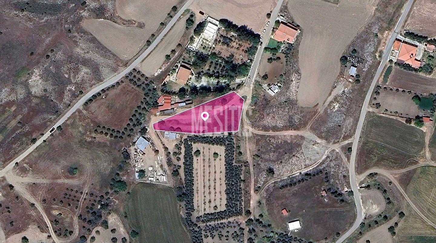 Land im Agrokipia, Nicosia 12405257
