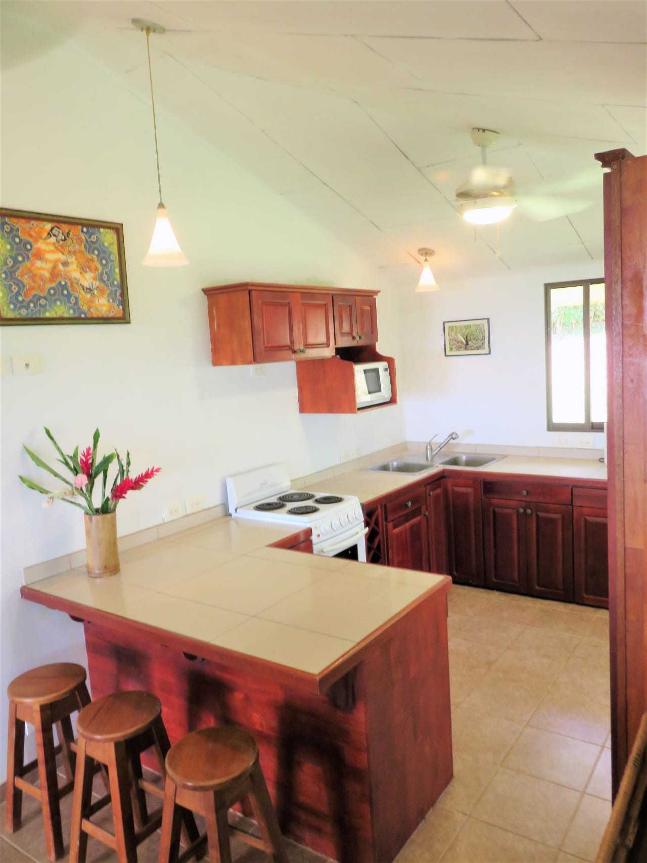 Dom w Ojochal, Provincia de Puntarenas 12406060