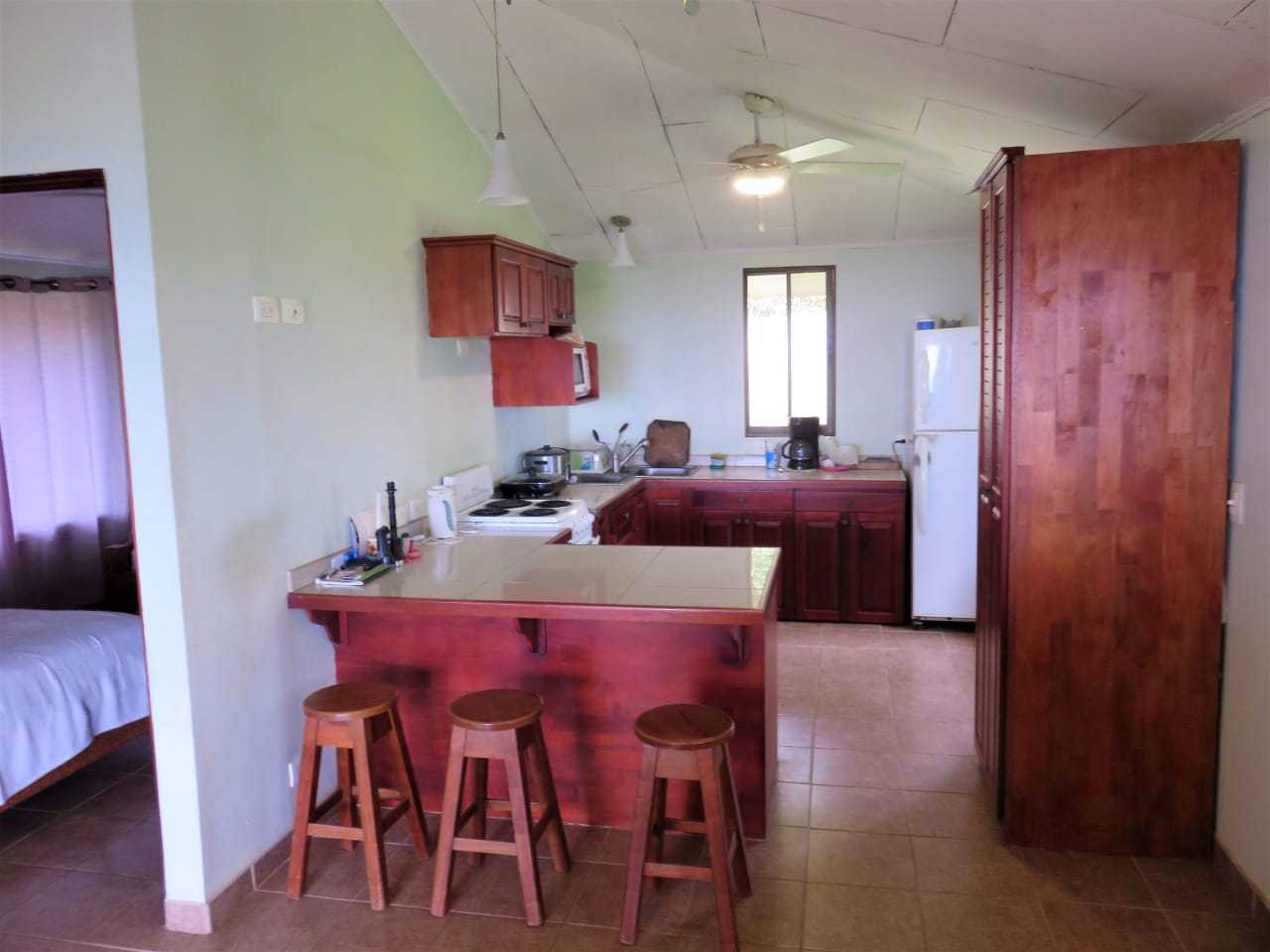 Dom w Ojochal, Provincia de Puntarenas 12406060