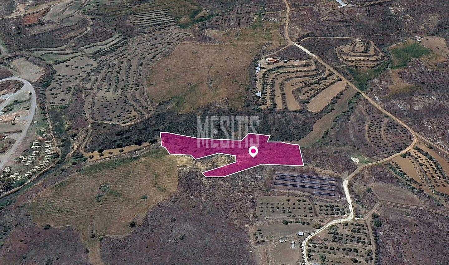 Land im Agrokipia, Nicosia 12408554