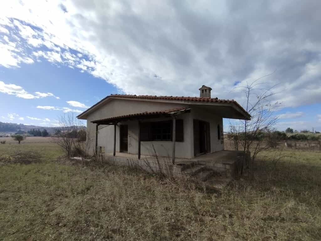Hus i Tagarades, Kentriki Makedonien 12410831