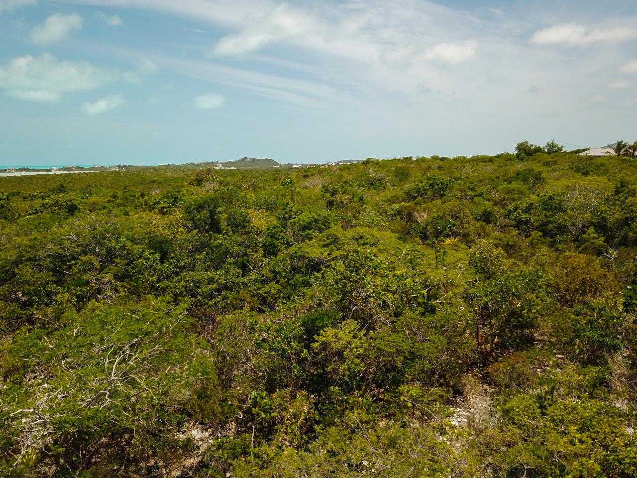 Jord i The Bight Settlement, Caicos Islands 12422809