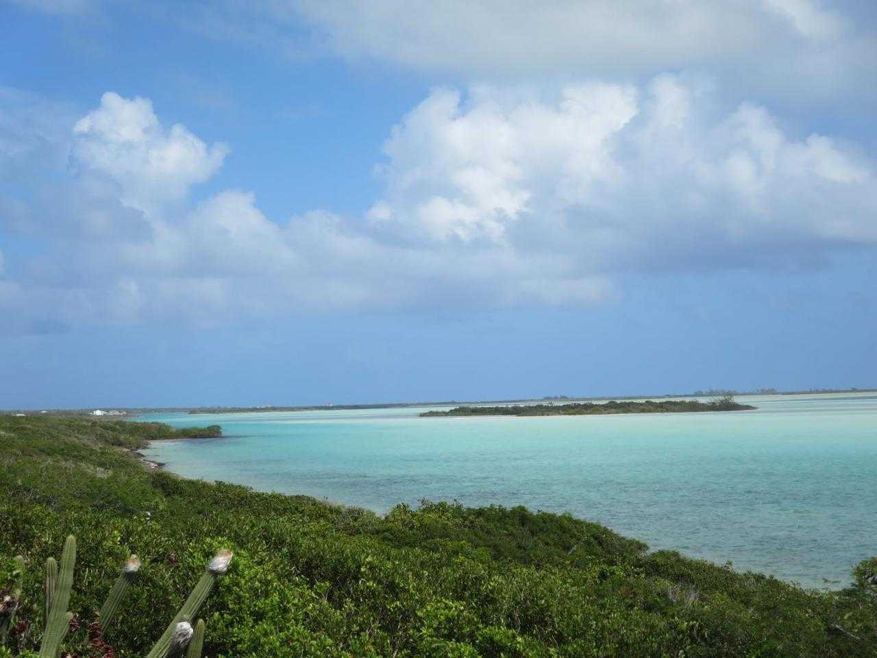 土地 在 , Caicos Islands 12432151
