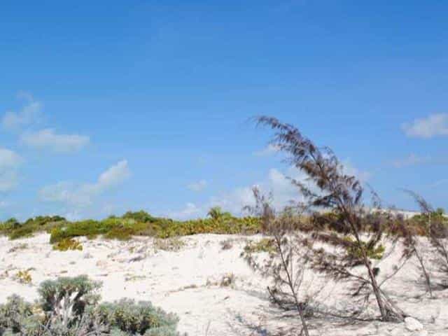 Terra no , Caicos Islands 12432221