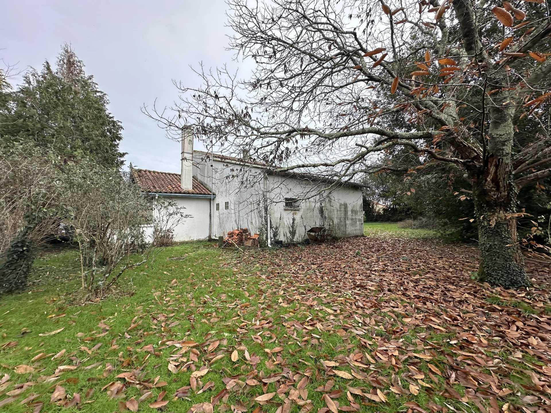 Dom w Saint-Caprais-de-Blaye, Nouvelle-Aquitaine 12434146