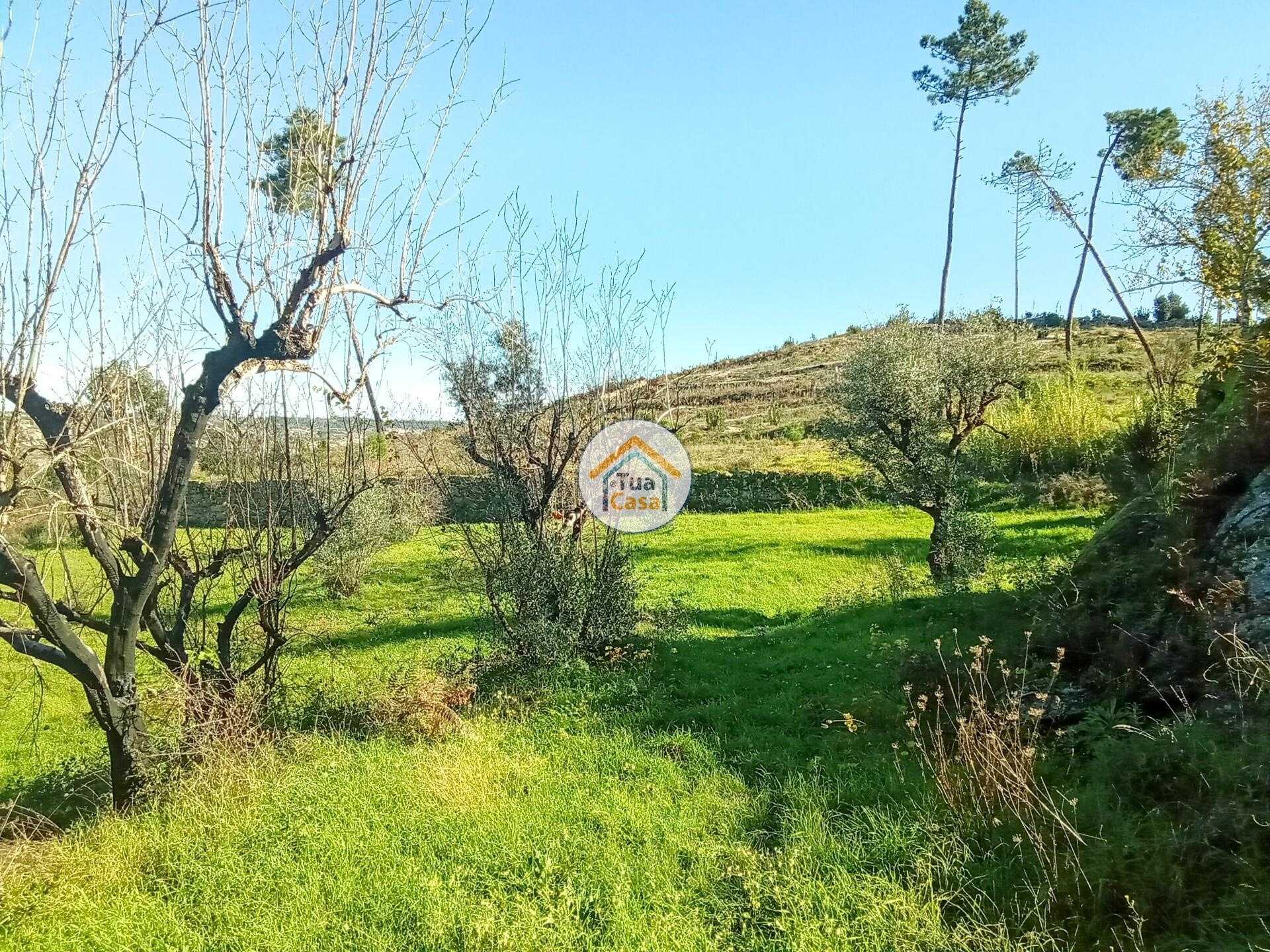 Land in Santa Eulália, Guarda 12442410