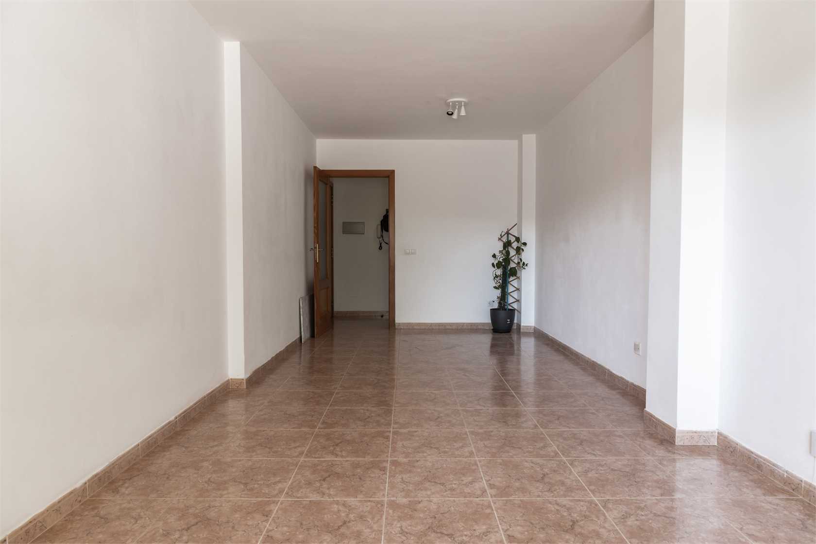 Condominium in Andraitx, Balearic Islands 12453622