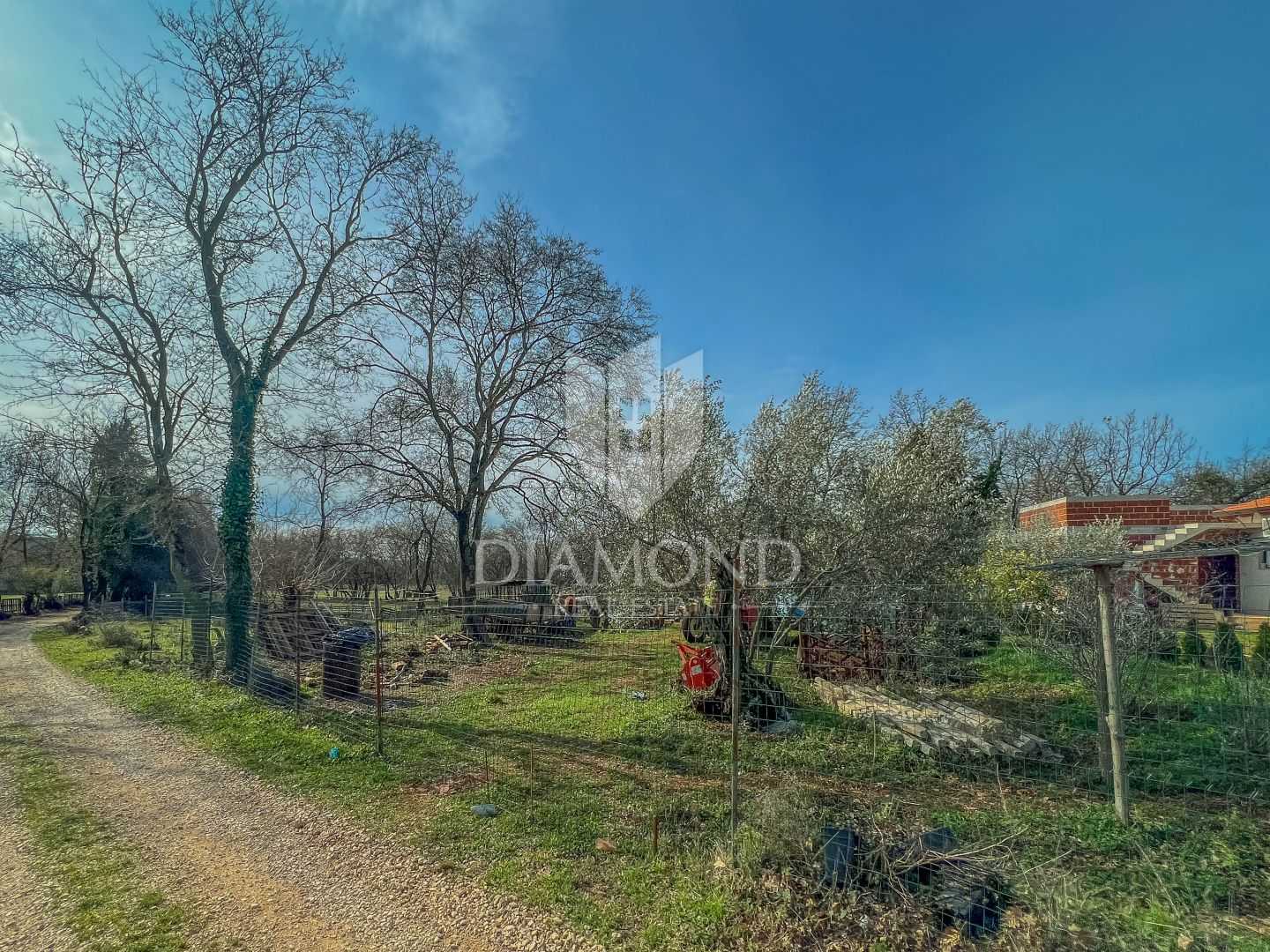 Land in Brtonigla, Istria County 12463208