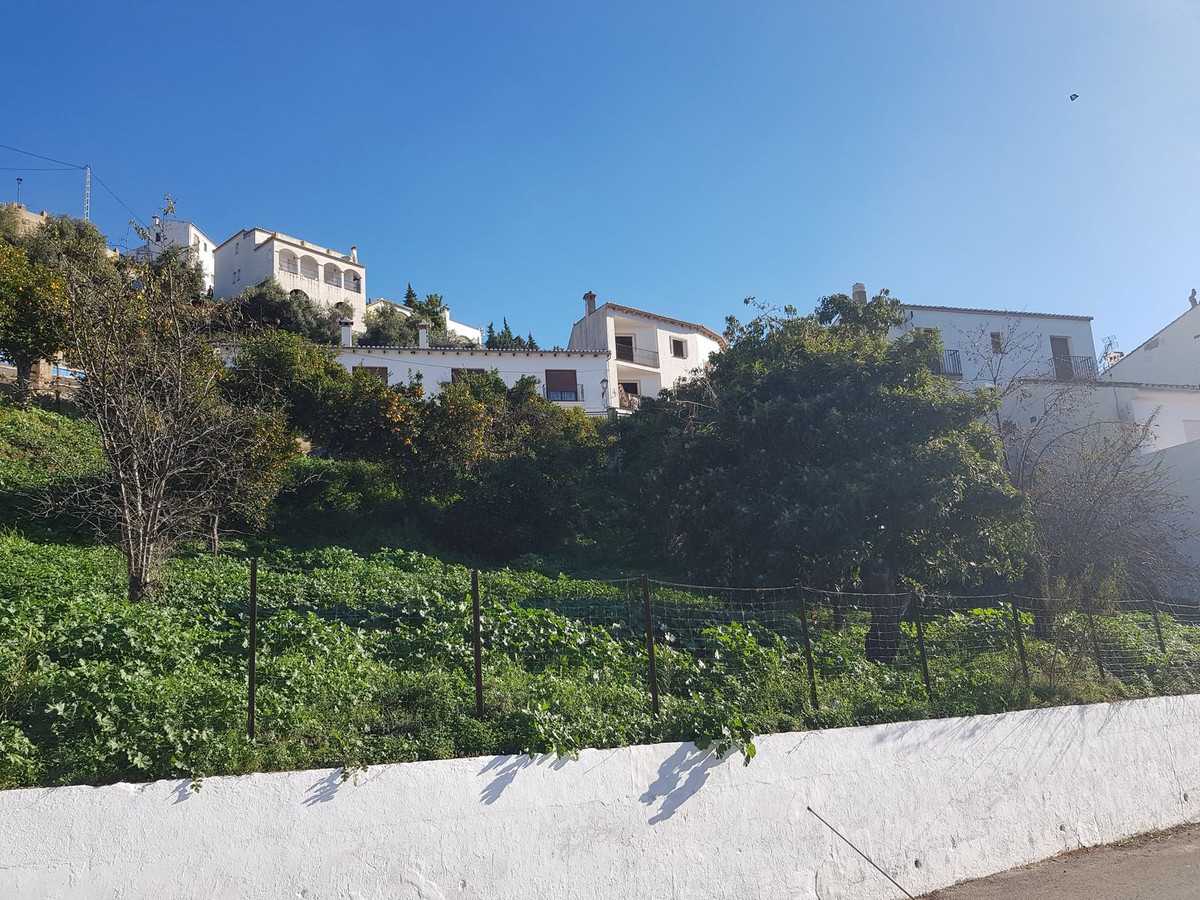 Land in Jubrique, Andalusia 12465560
