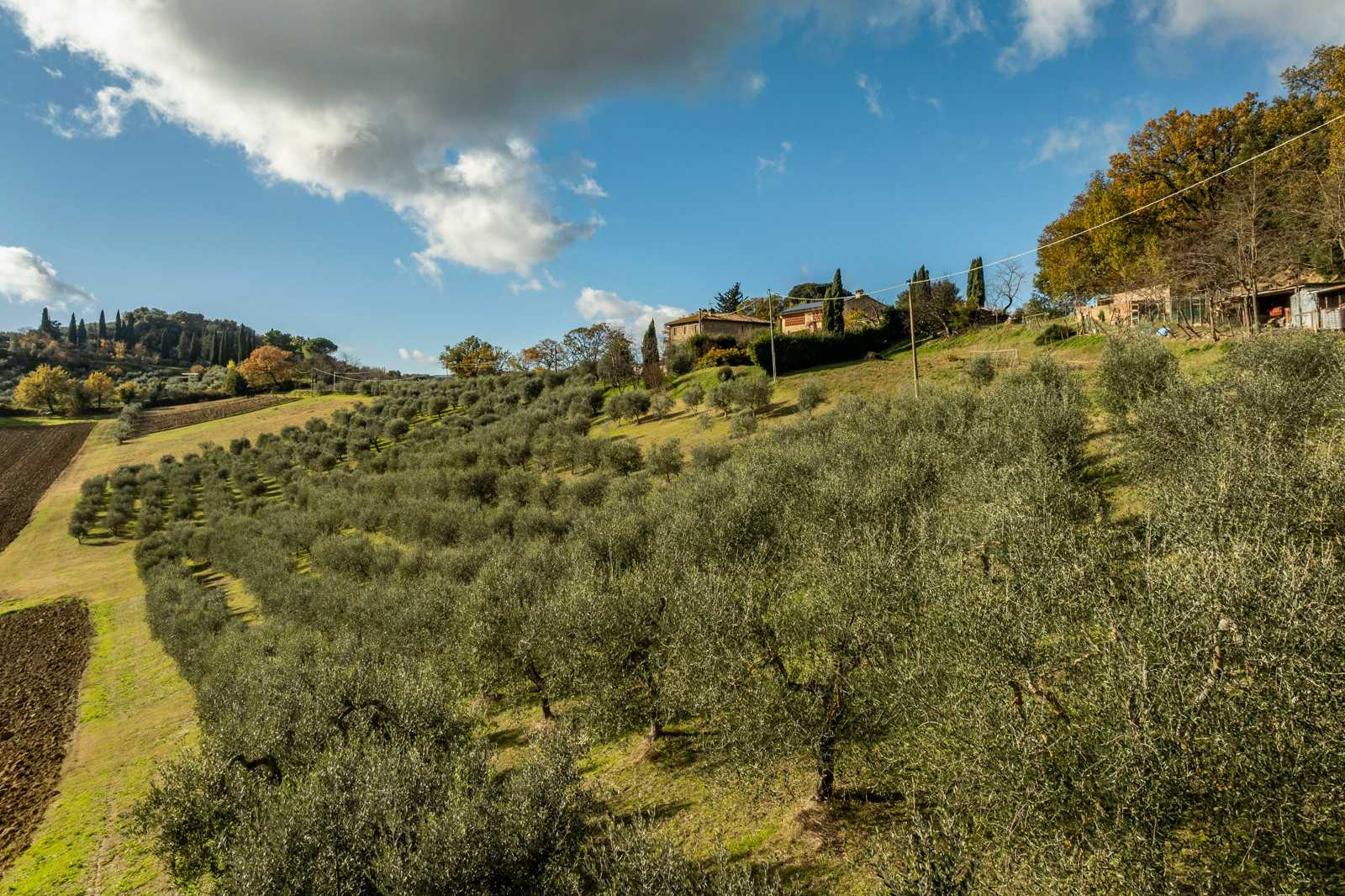 Talo sisään San Gimignano, Tuscany 12470001