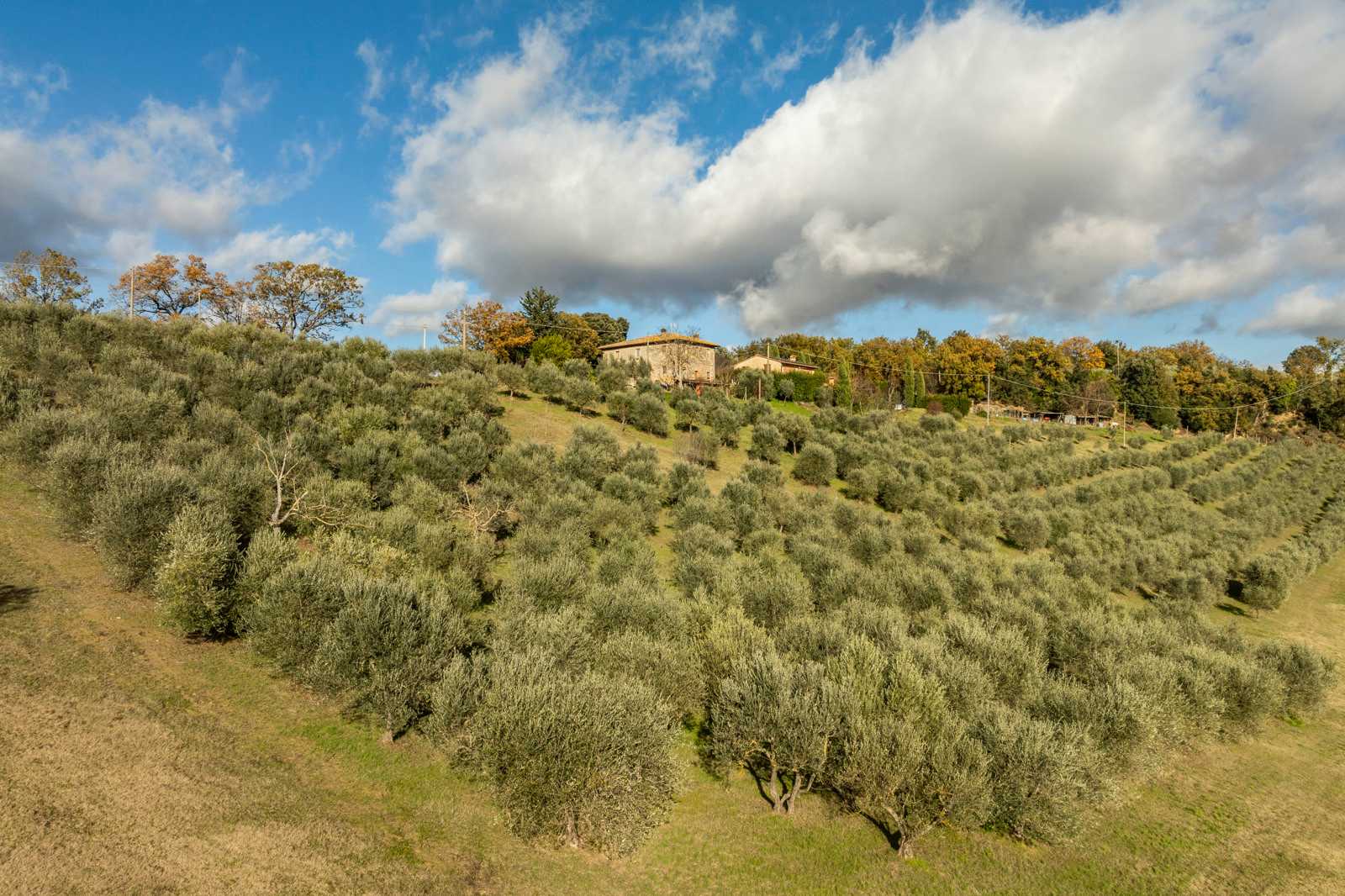 मकान में San Gimignano, Tuscany 12470001