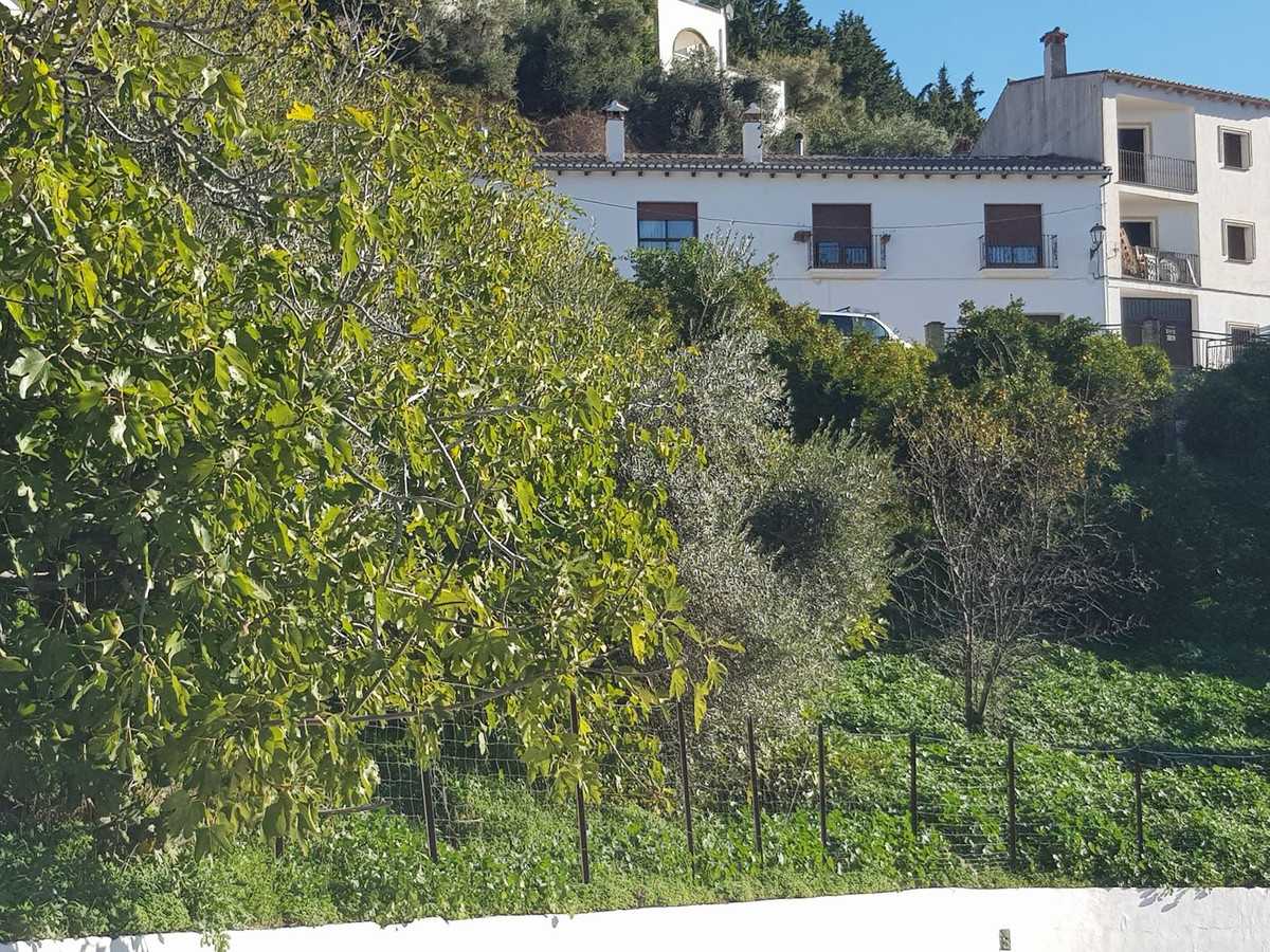 Land in Jubrique, Andalusia 12472510