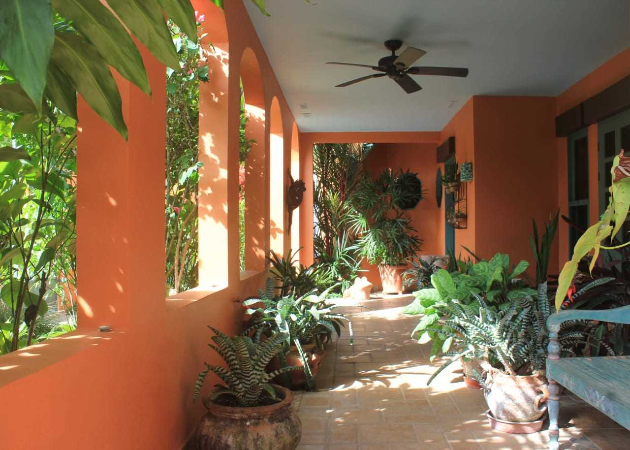 Talo sisään , Provincia de Puntarenas 12477201