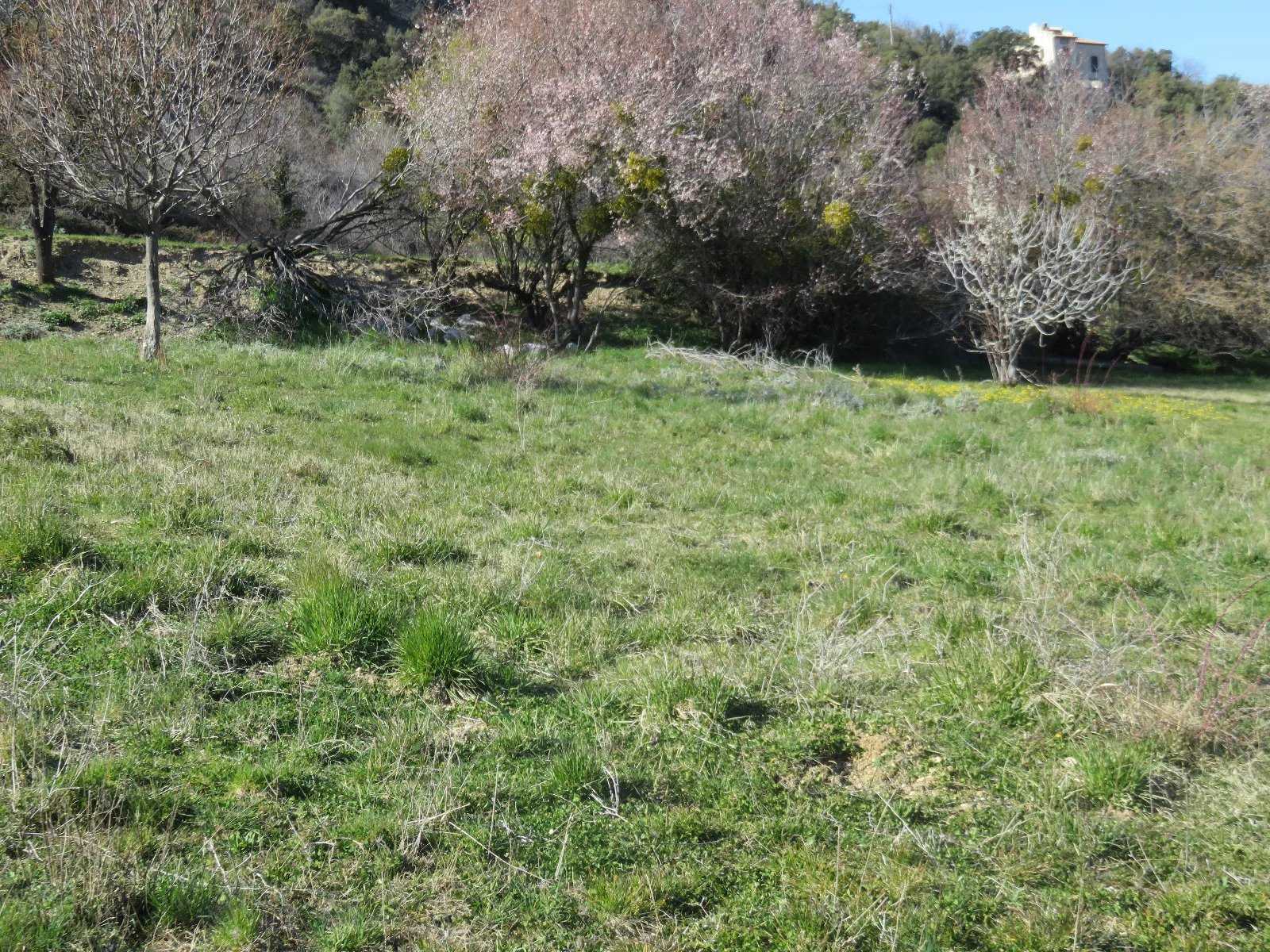 Tanah dalam Simiane-la-Rotonde, Provence-Alpes-Côte d'Azur 12477518