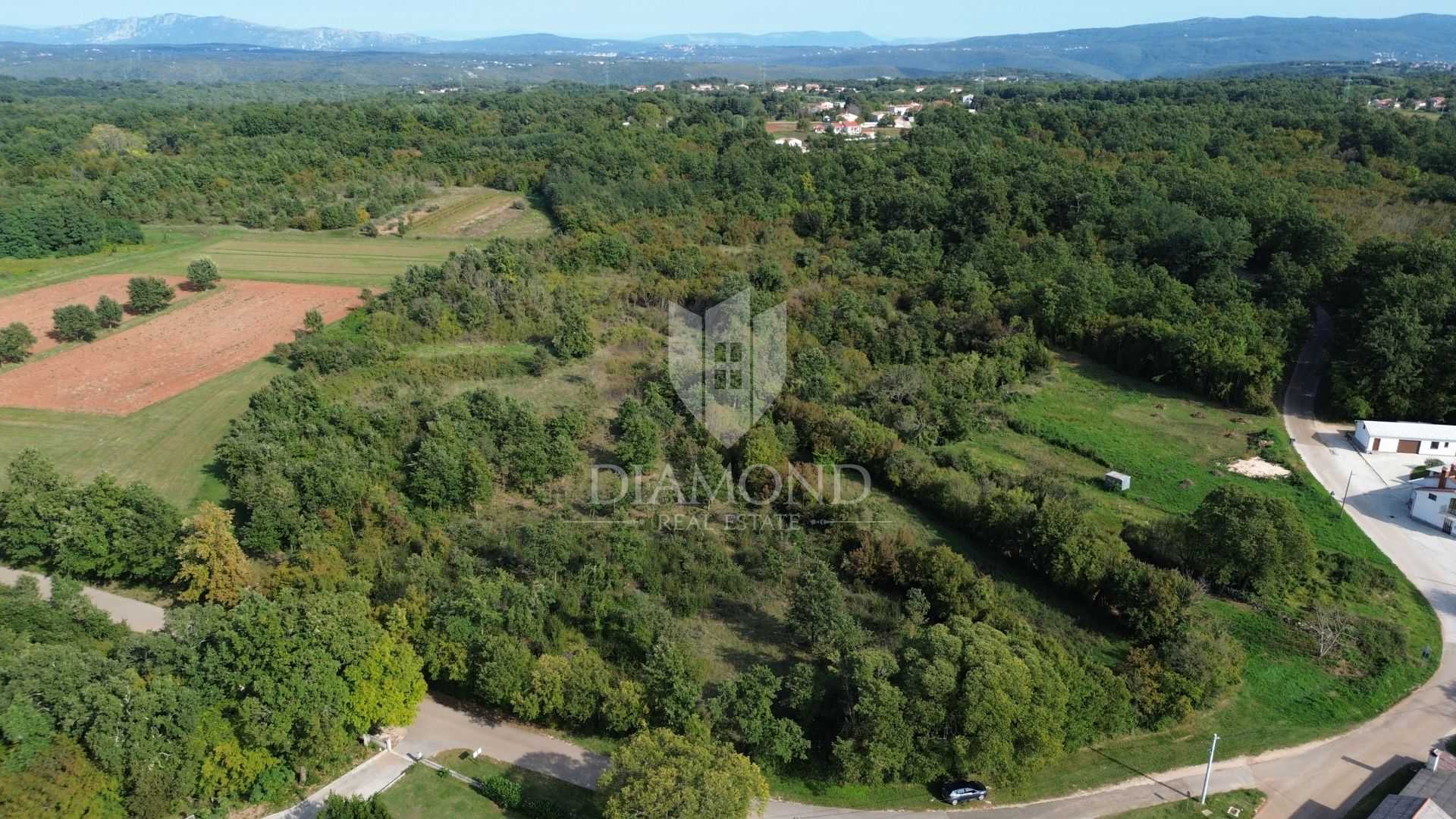 Land in Barban, Istarska Zupanija 12484493