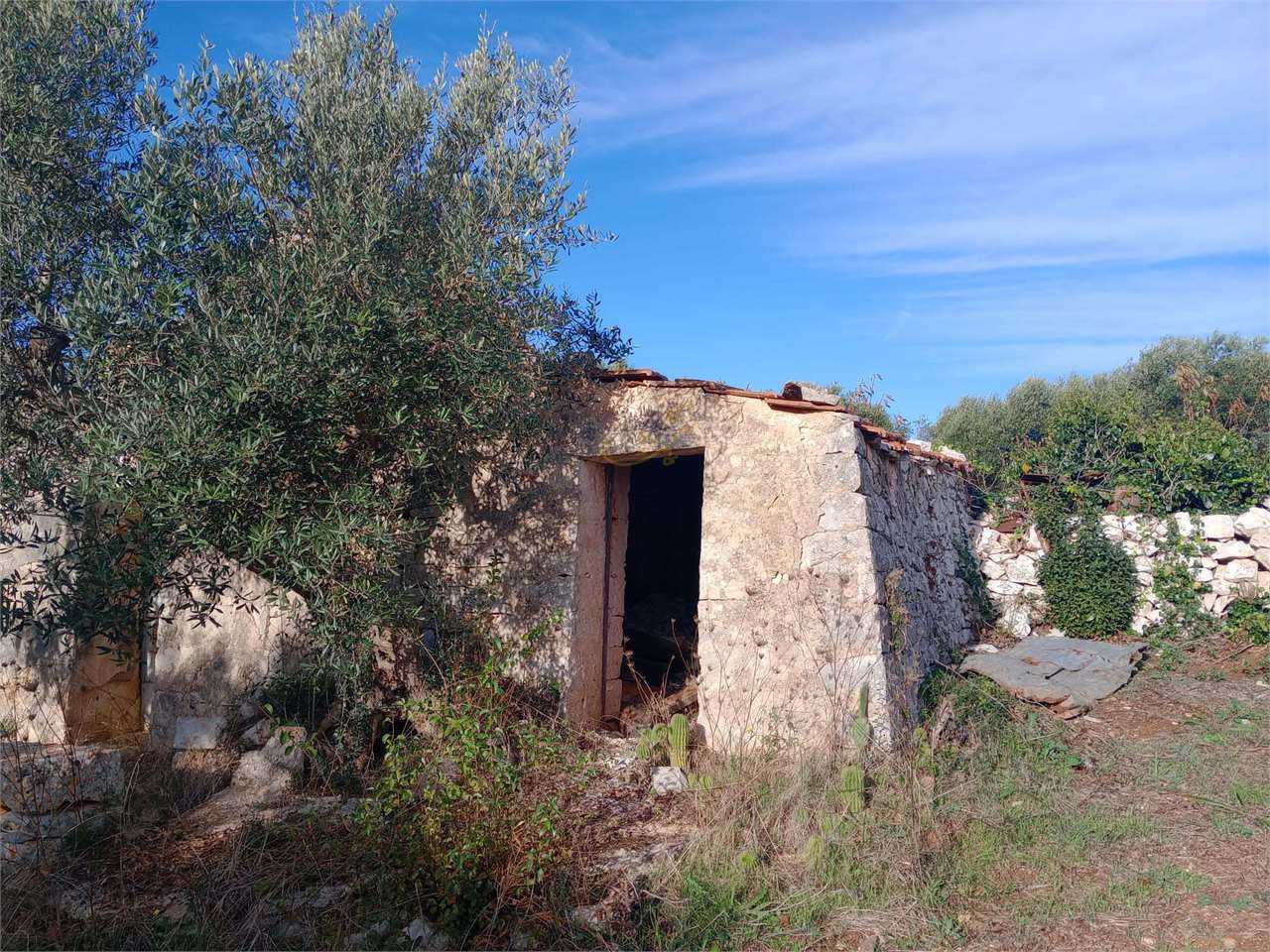 Land in Castellana Grotte, Apulia 12486806