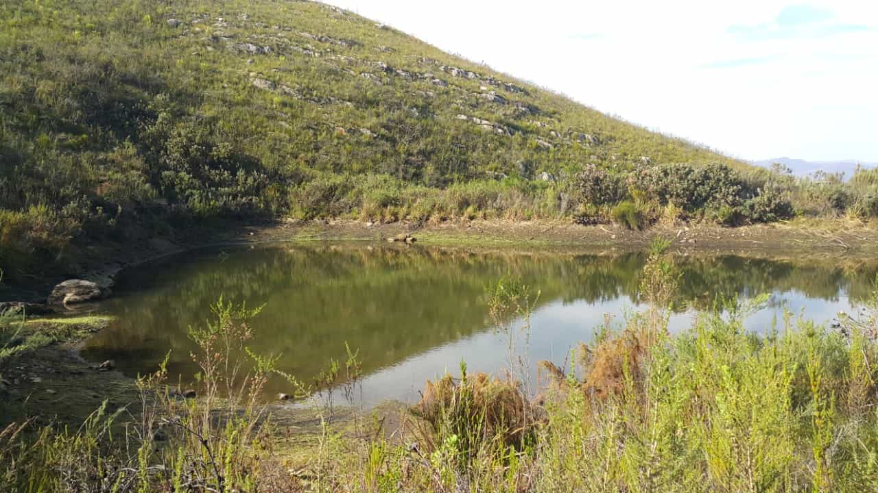 भूमि में George, Western Cape 12490182