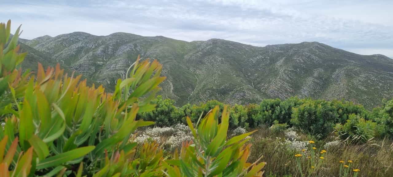 Land in George, westerse Cape 12490182