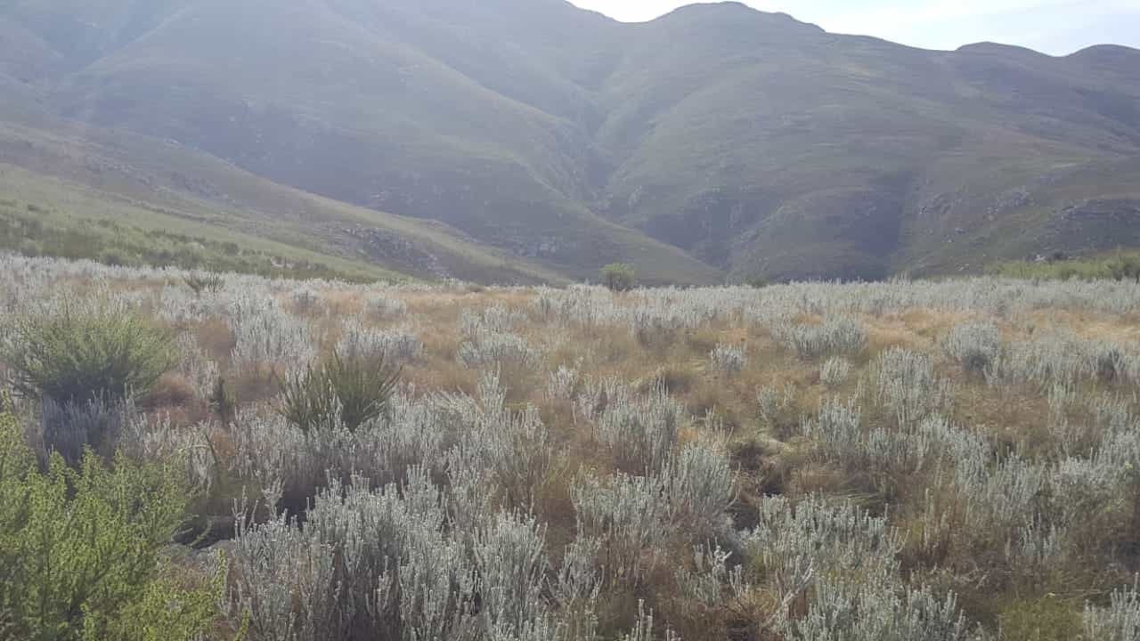 Tanah di George, Western Cape 12490182