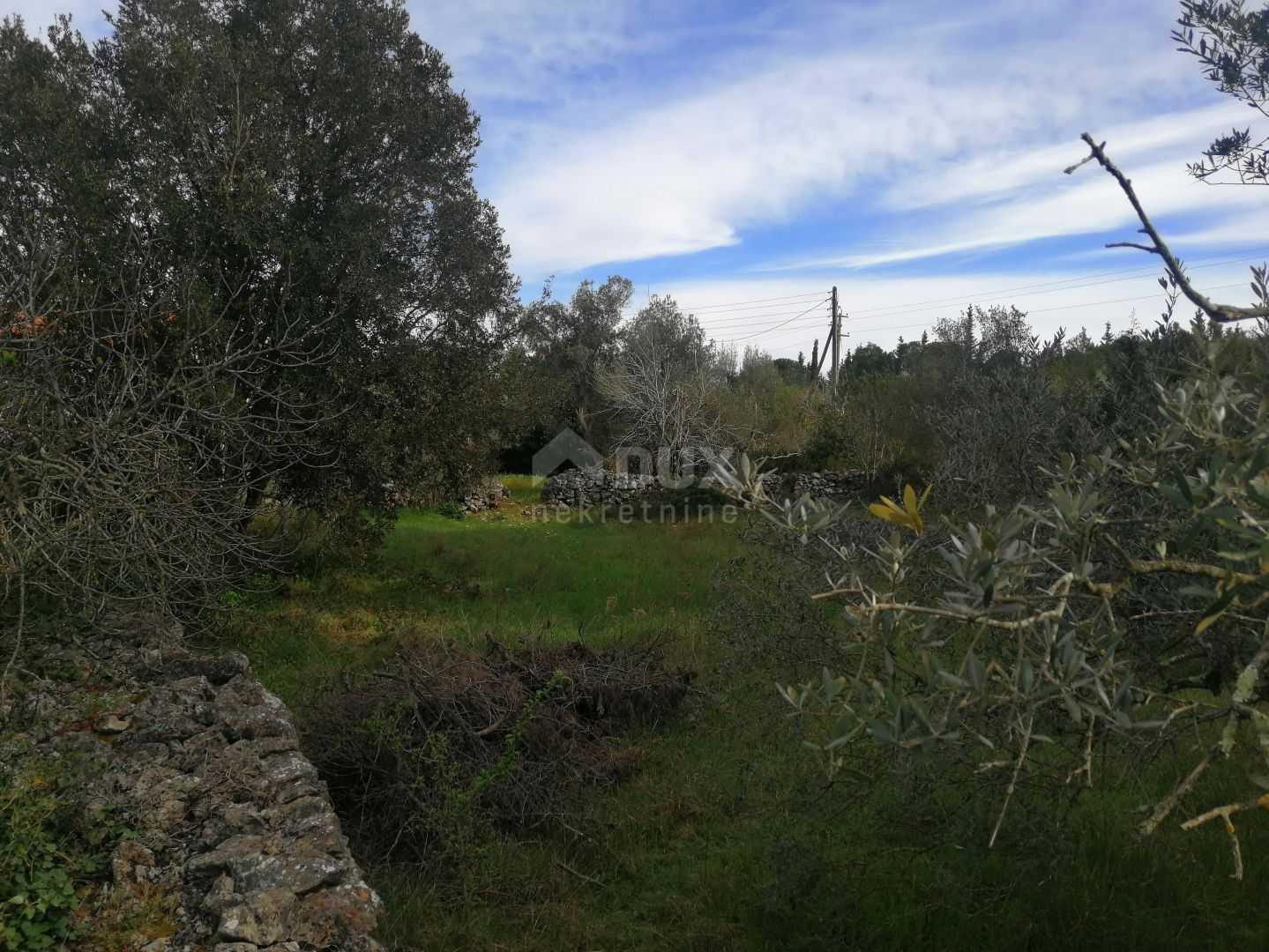 Tanah di Kukljica, Zadarska Zupanija 12491363