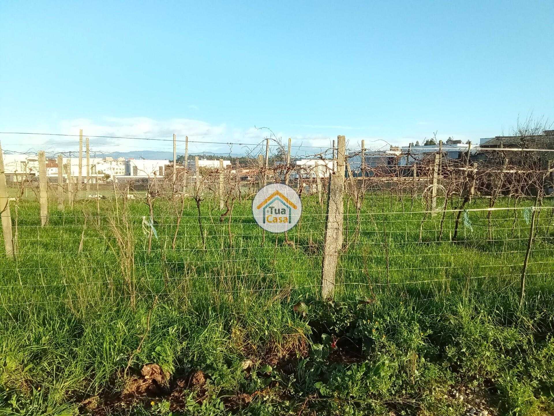 Tanah dalam Albergaria-a-Velha, Aveiro 12491510