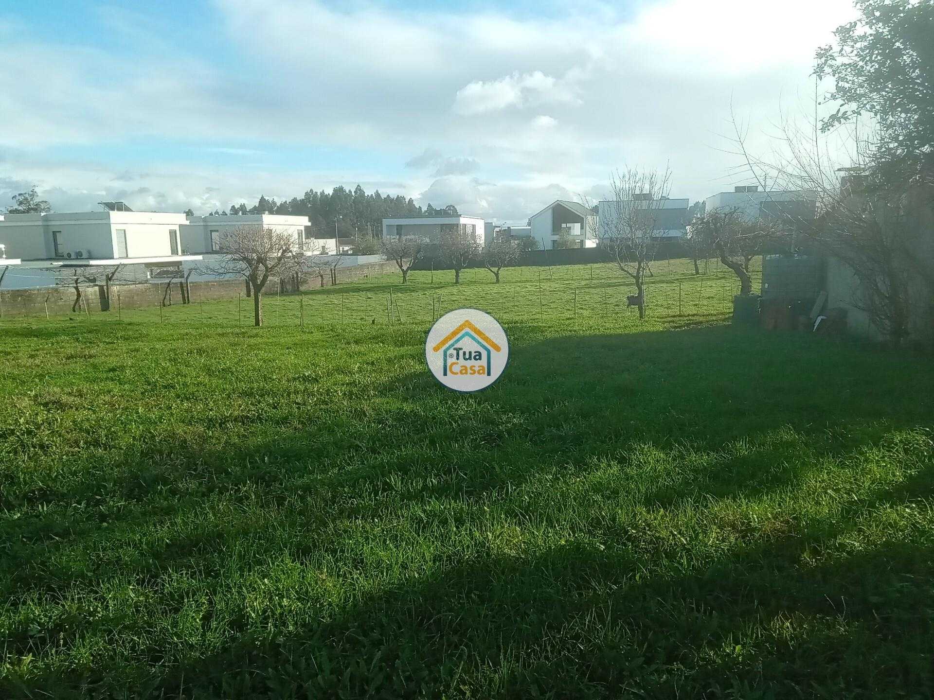 Tanah dalam Albergaria-a-Velha, Aveiro 12491512