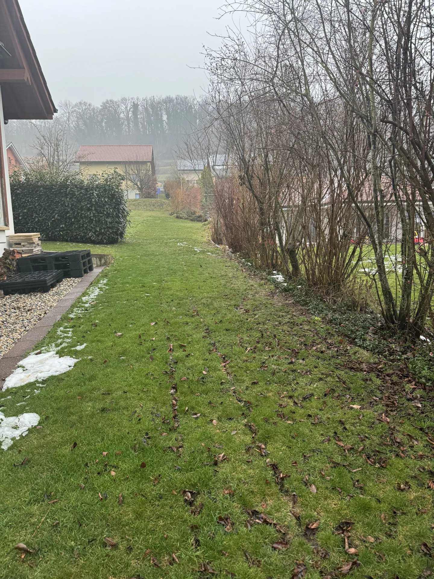 Land in Mussillens, Fribourg 12493605