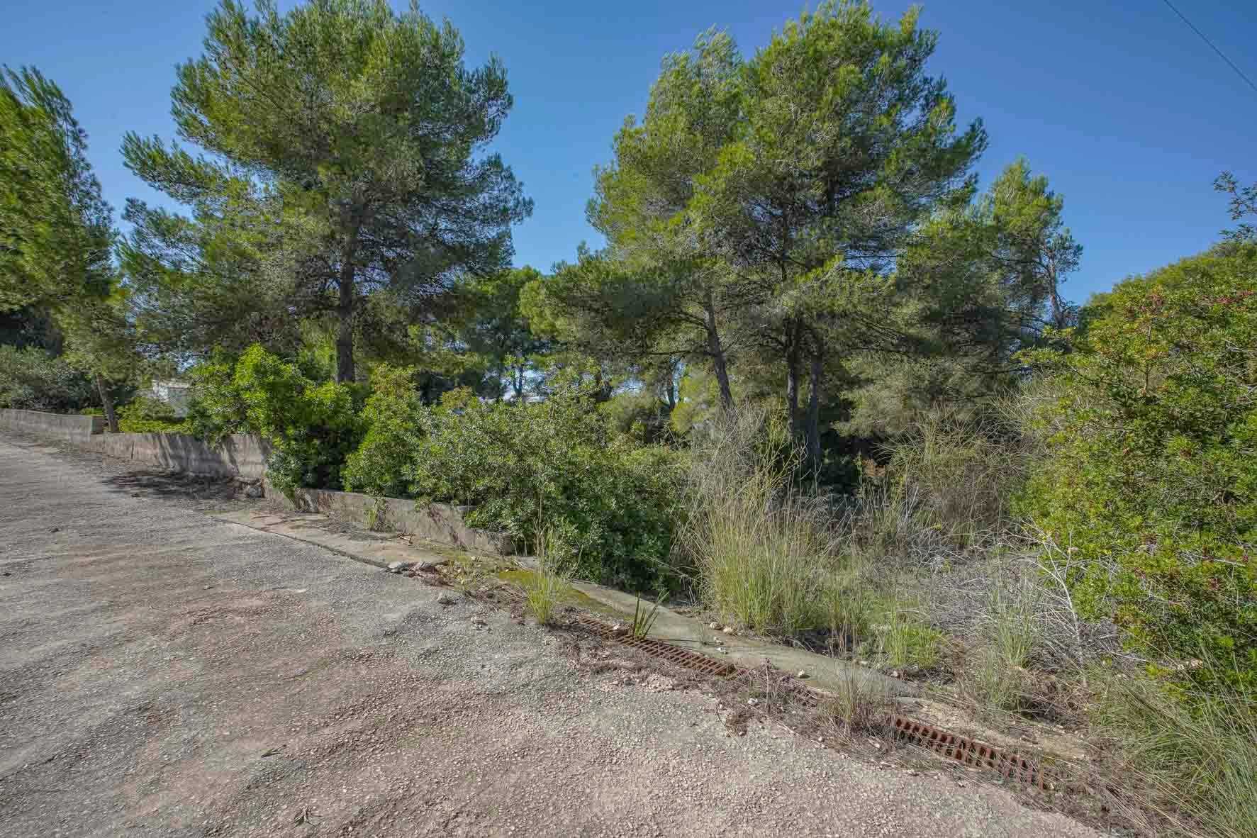 Land im Xàbia, Valencian Community 12508252