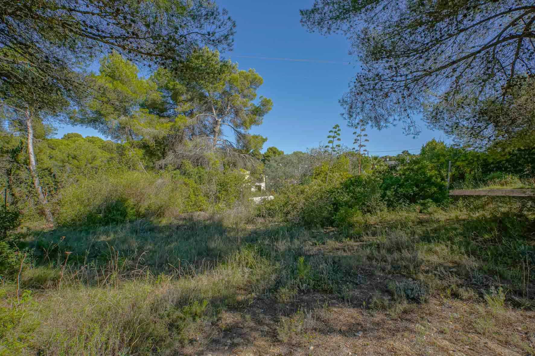 Land in Xàbia, Valencian Community 12508252