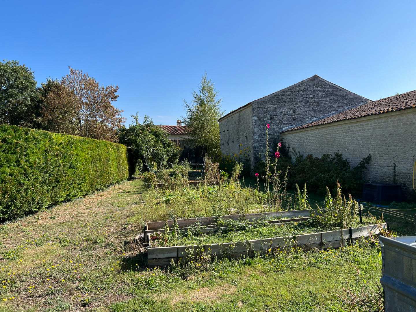 بيت في Antezant-la-Chapelle, Nouvelle-Aquitaine 12510651