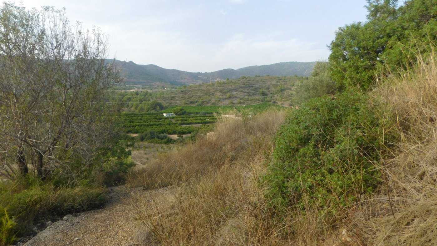 अन्य में la Vall d'Uixó, Valencian Community 12512219