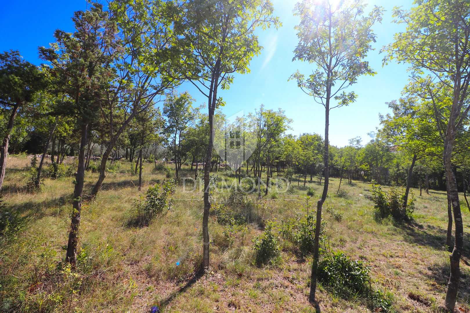 Land in Barban, Istria County 12512639