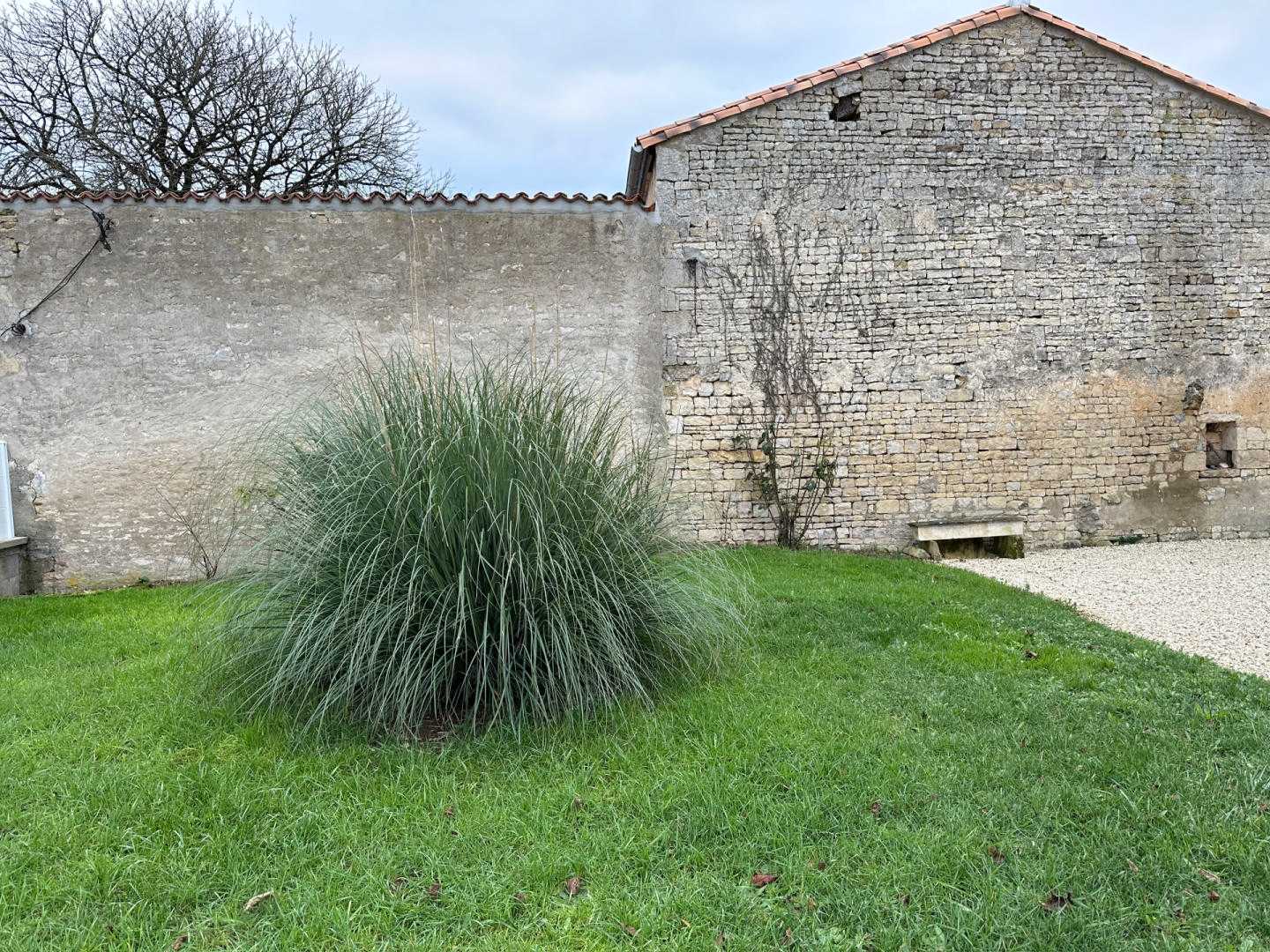 मकान में Néré, Nouvelle-Aquitaine 12515596