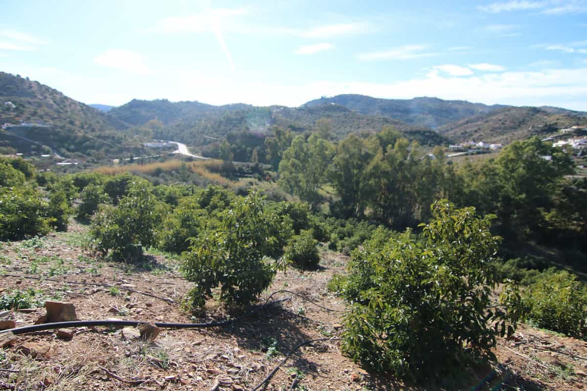 Land in Coin, Andalusia 12516715