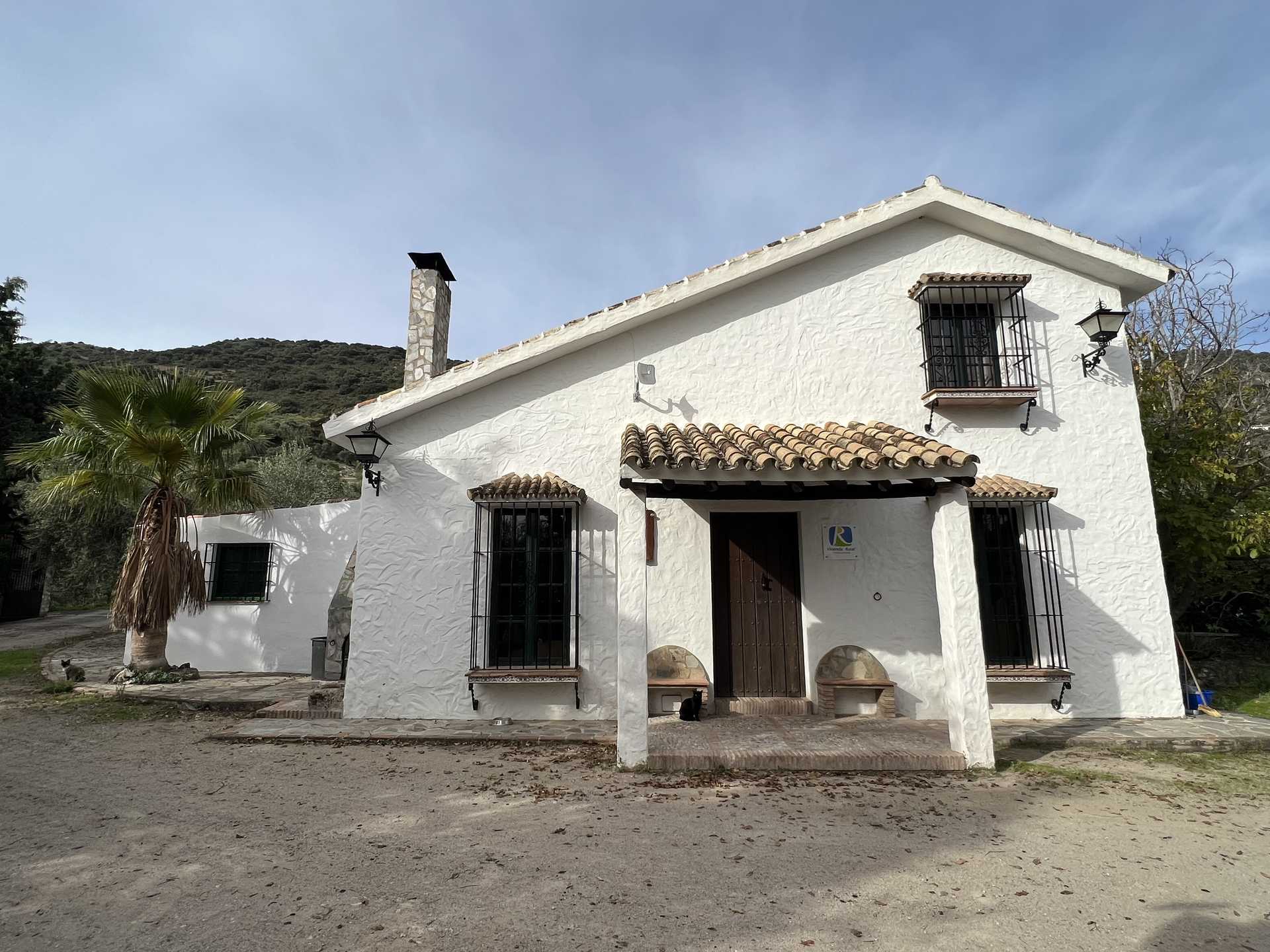 Hus i Algodonales, Andalusia 12520821