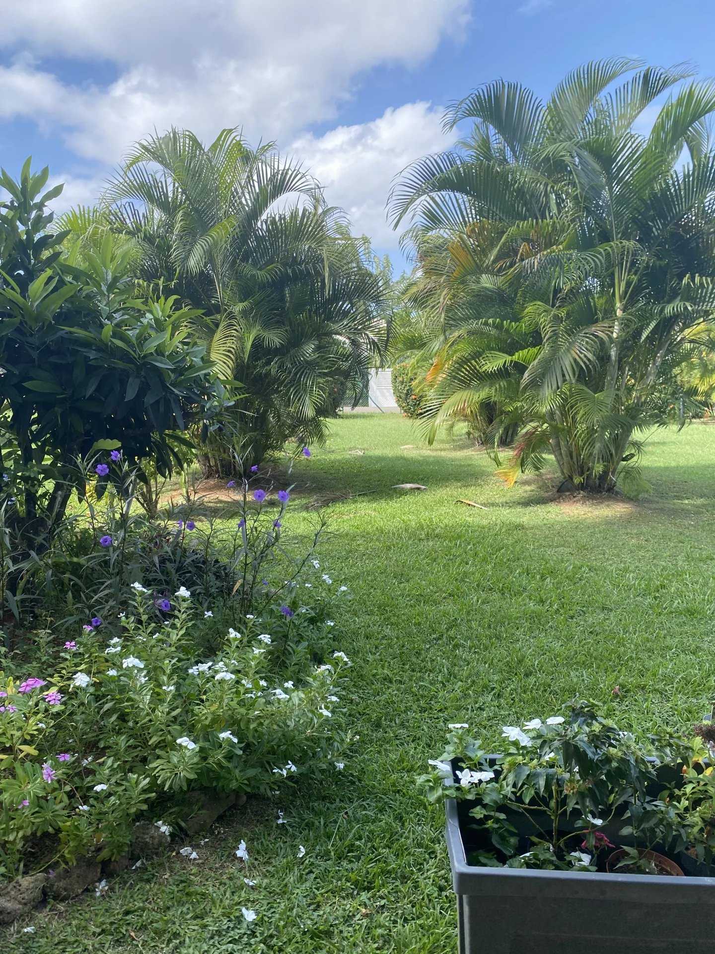 מגורים ב Sainte-Luce, Martinique 12523455