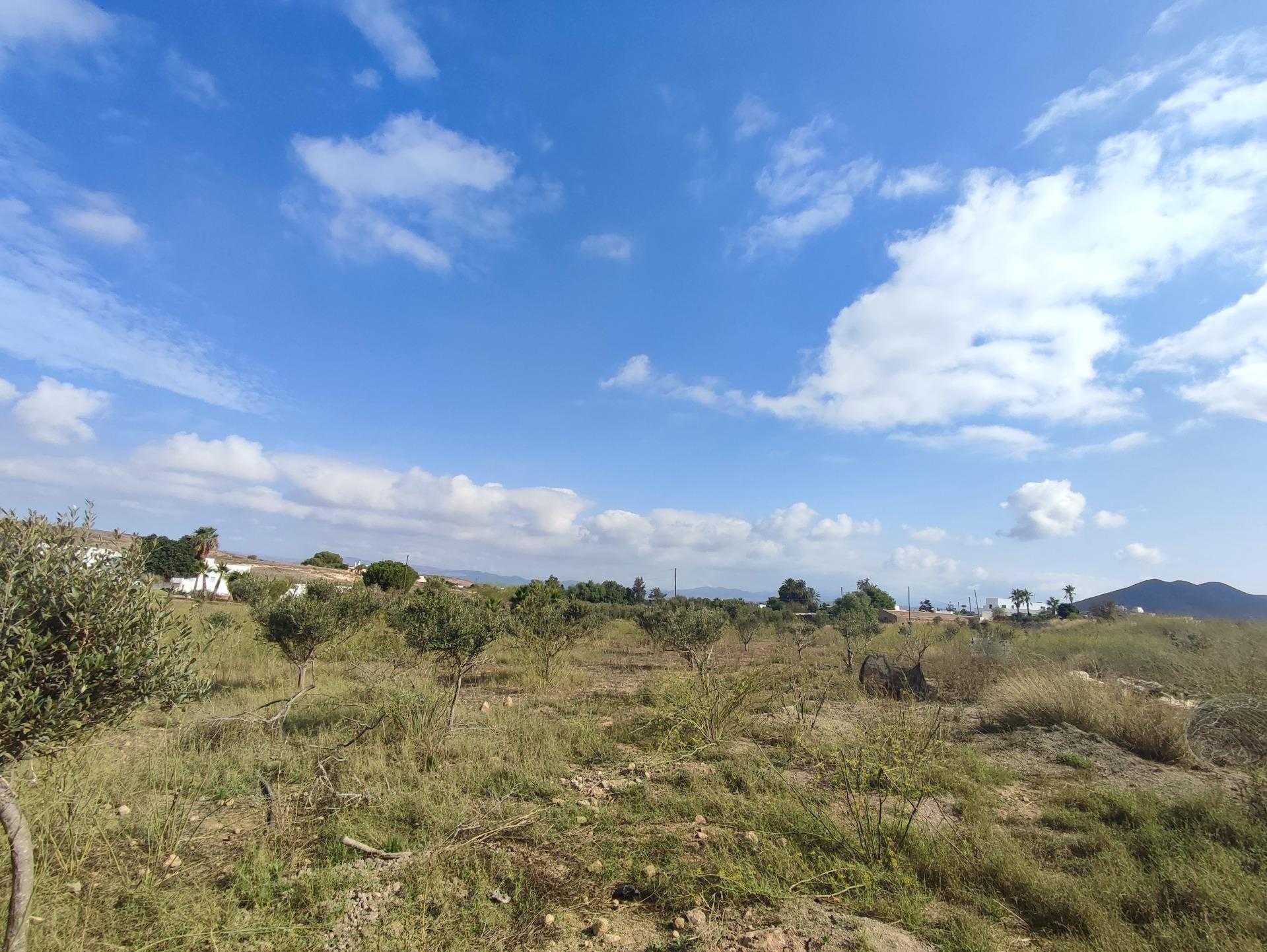Tierra en Alcontar, Andalucía 12528010