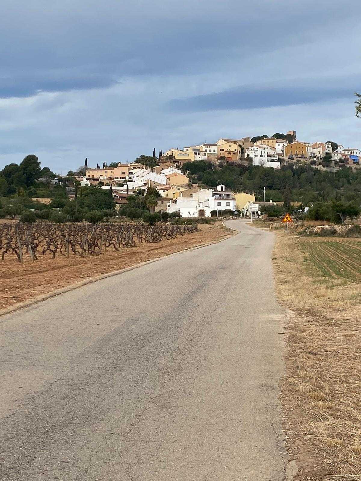 Land in San Jaime dels Domenys, Catalonië 12531525